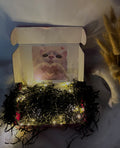 Pawsome Surprise Box